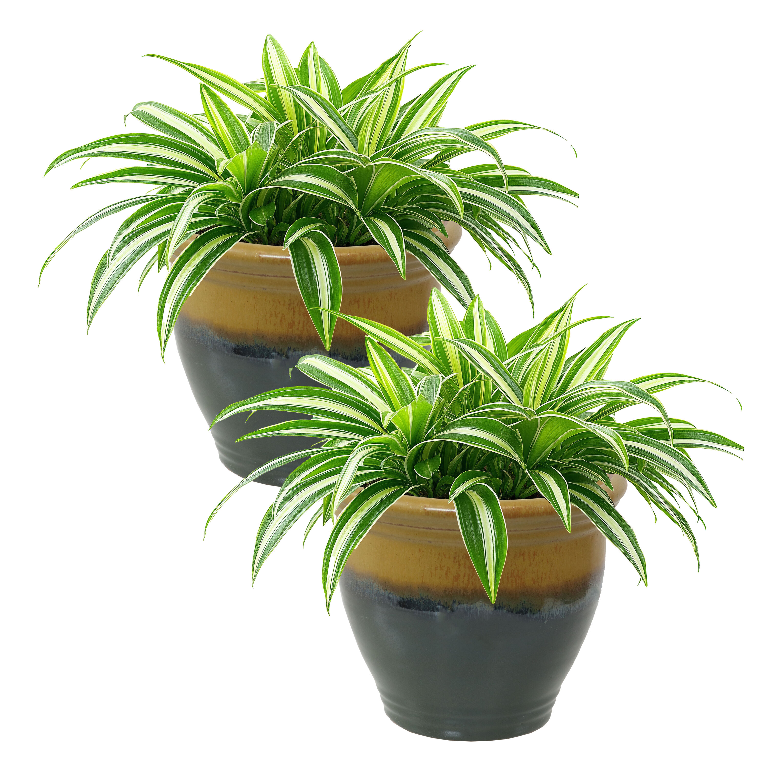 Sunnydaze Decor AP-046 Planter-Window-Box - View #3