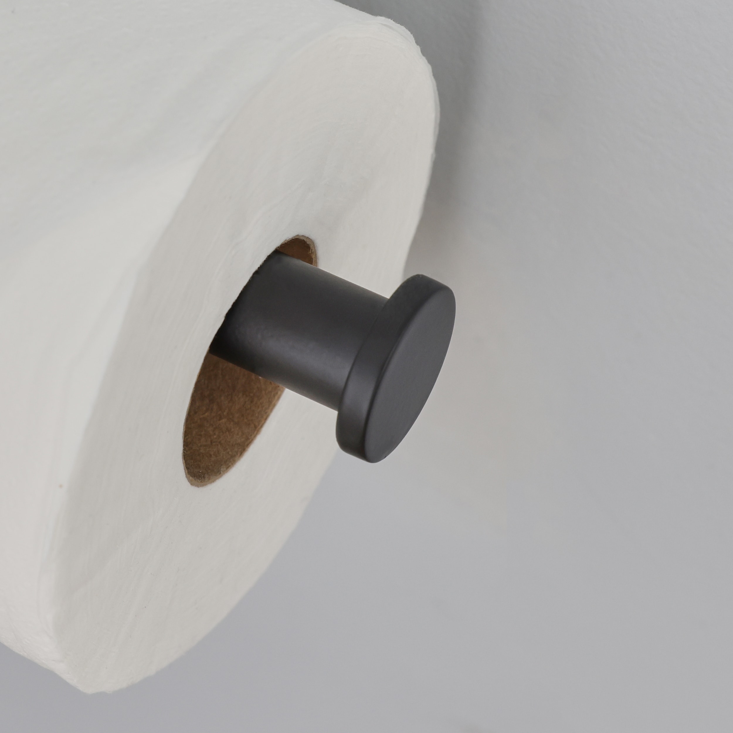 allen + roth Latitude 2 Black Wall Mount Single Post Toilet Paper Holder in  the Toilet Paper Holders department at