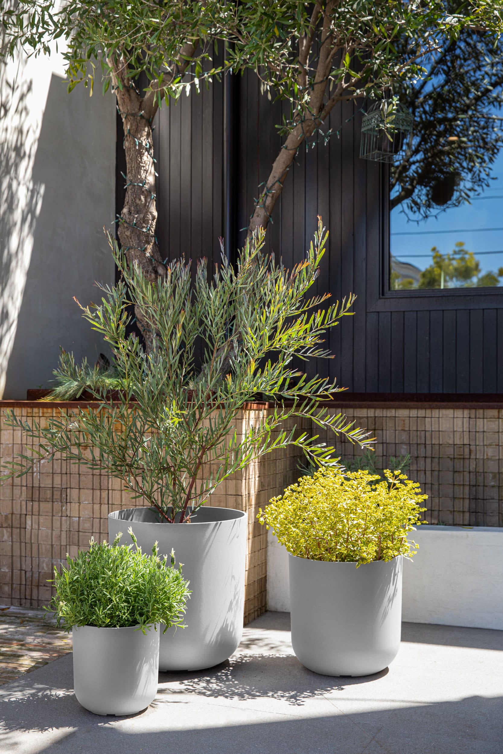 Veradek KNV-BUN-W Planter-Window-Box - View #5