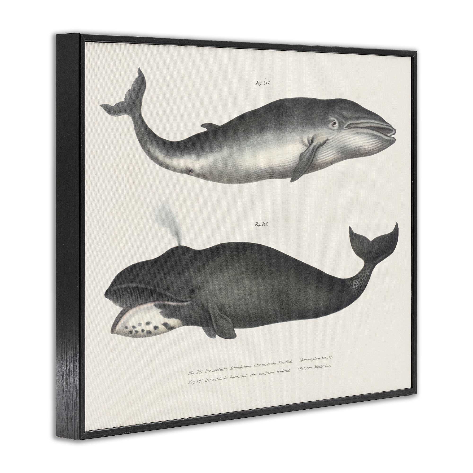 Stupell Industries BT-456-FR-24X30 Wall-Art - View #2