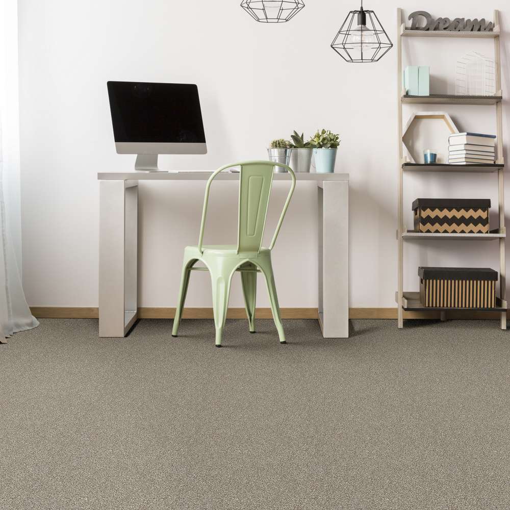 STAINMASTER 7L80100108 Carpet-Panel - View #5