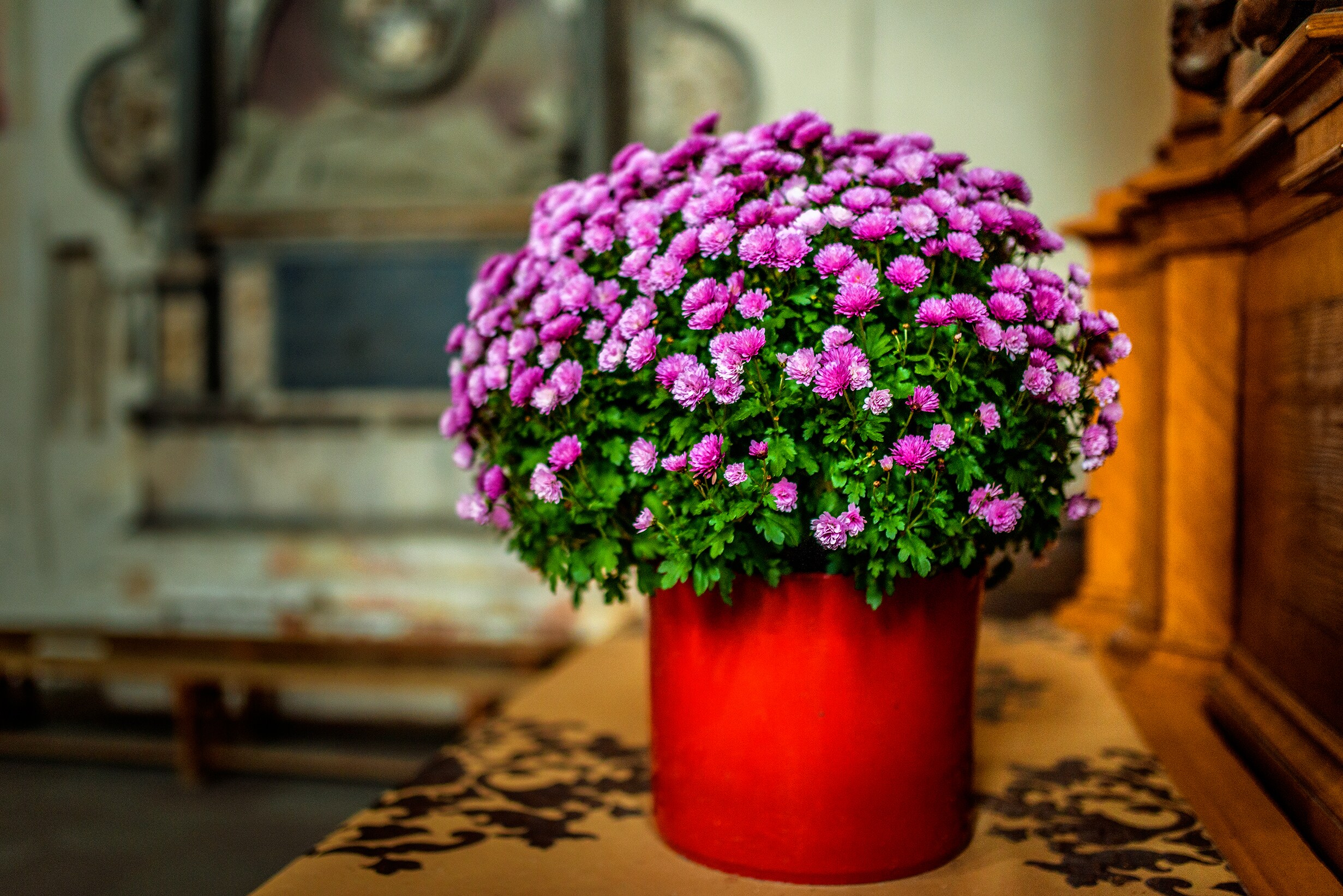  1560 annuals - View #4