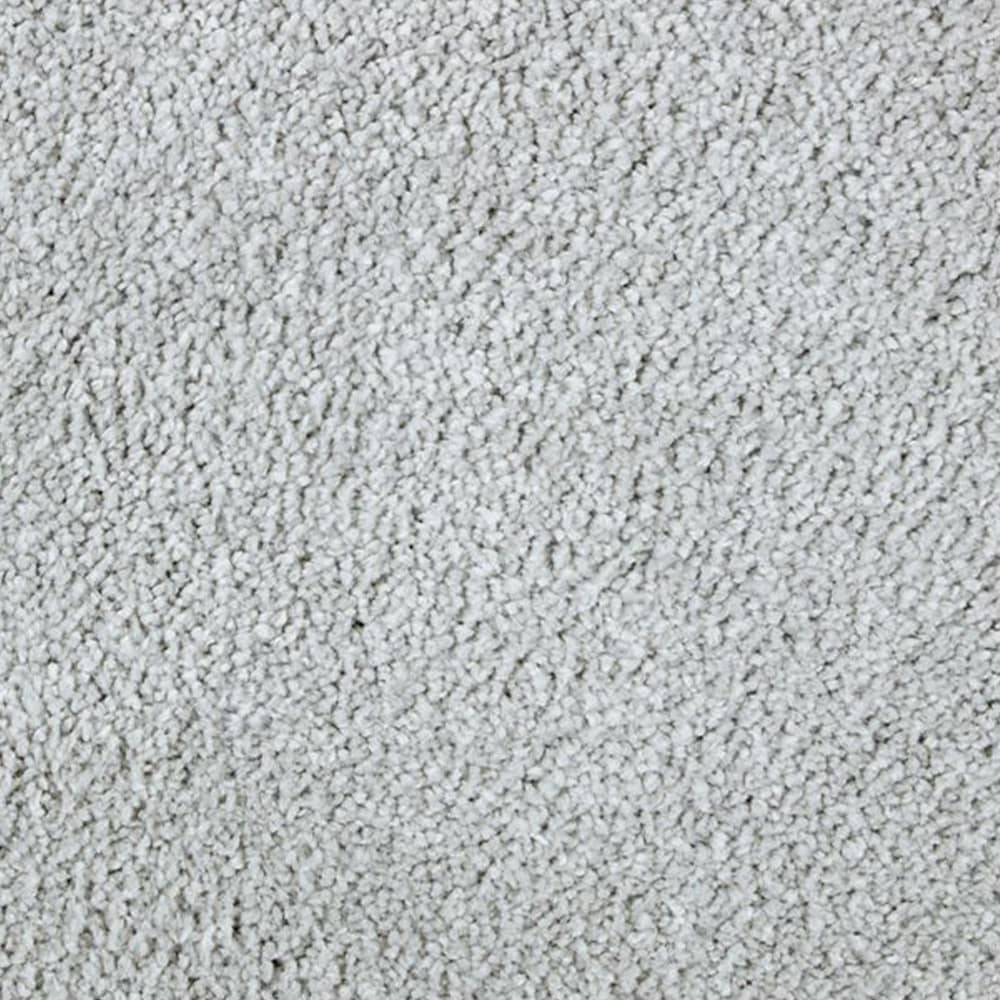 STAINMASTER PetProtect STP24-12-L006 Express Install Alluring splendor I Retreat Gray 48-oz sq yard Triexta Textured Indoor Carpet