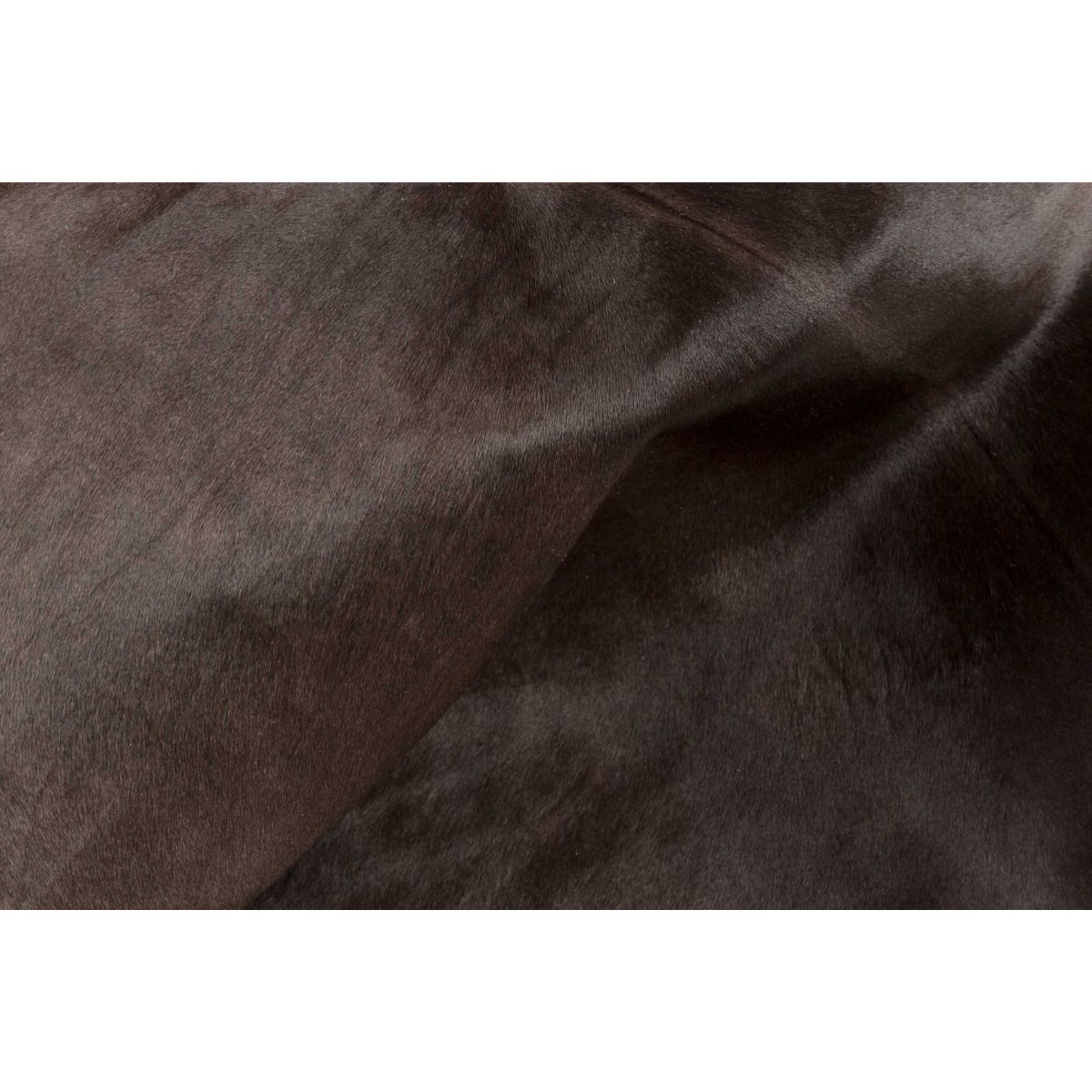 HomeRoots 316978 rugs - View #2