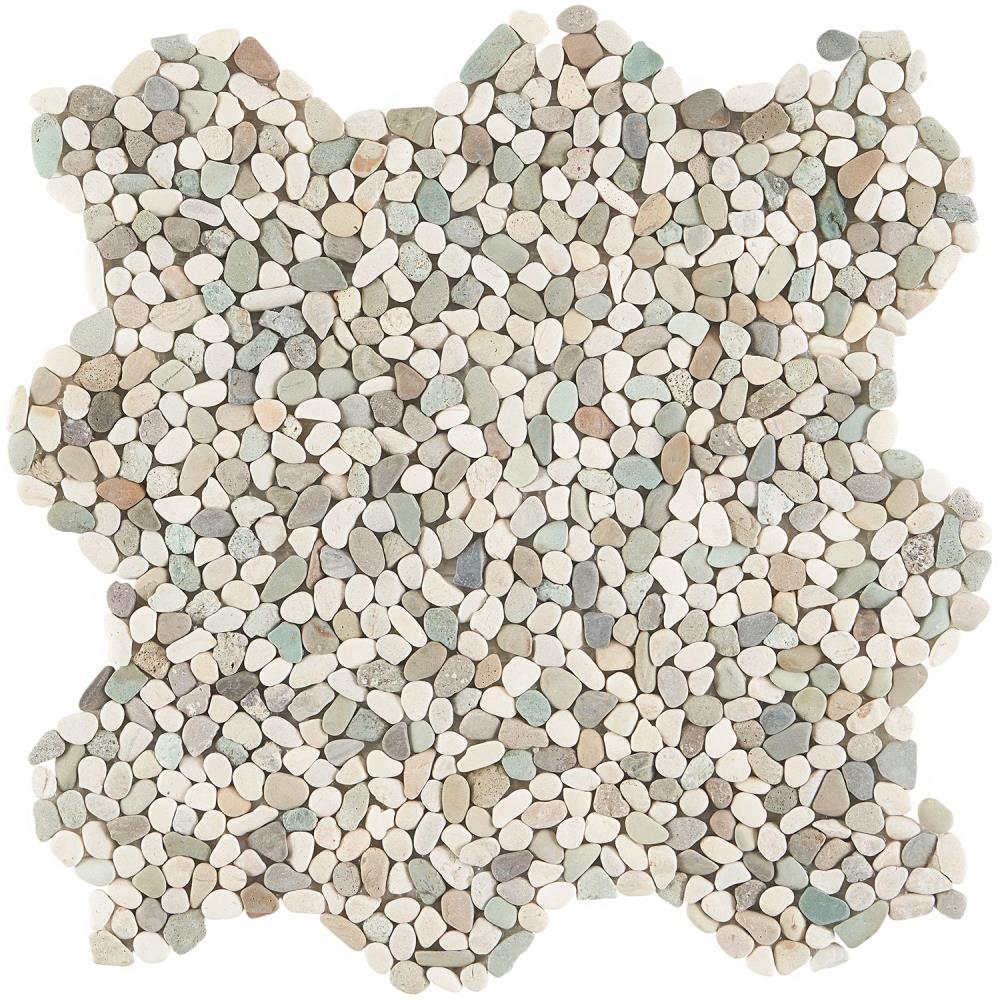 Artmore Tile EXT3RD105009 Sample - Landscape Multicolored 3-in x 6-in Natural Wall Tile