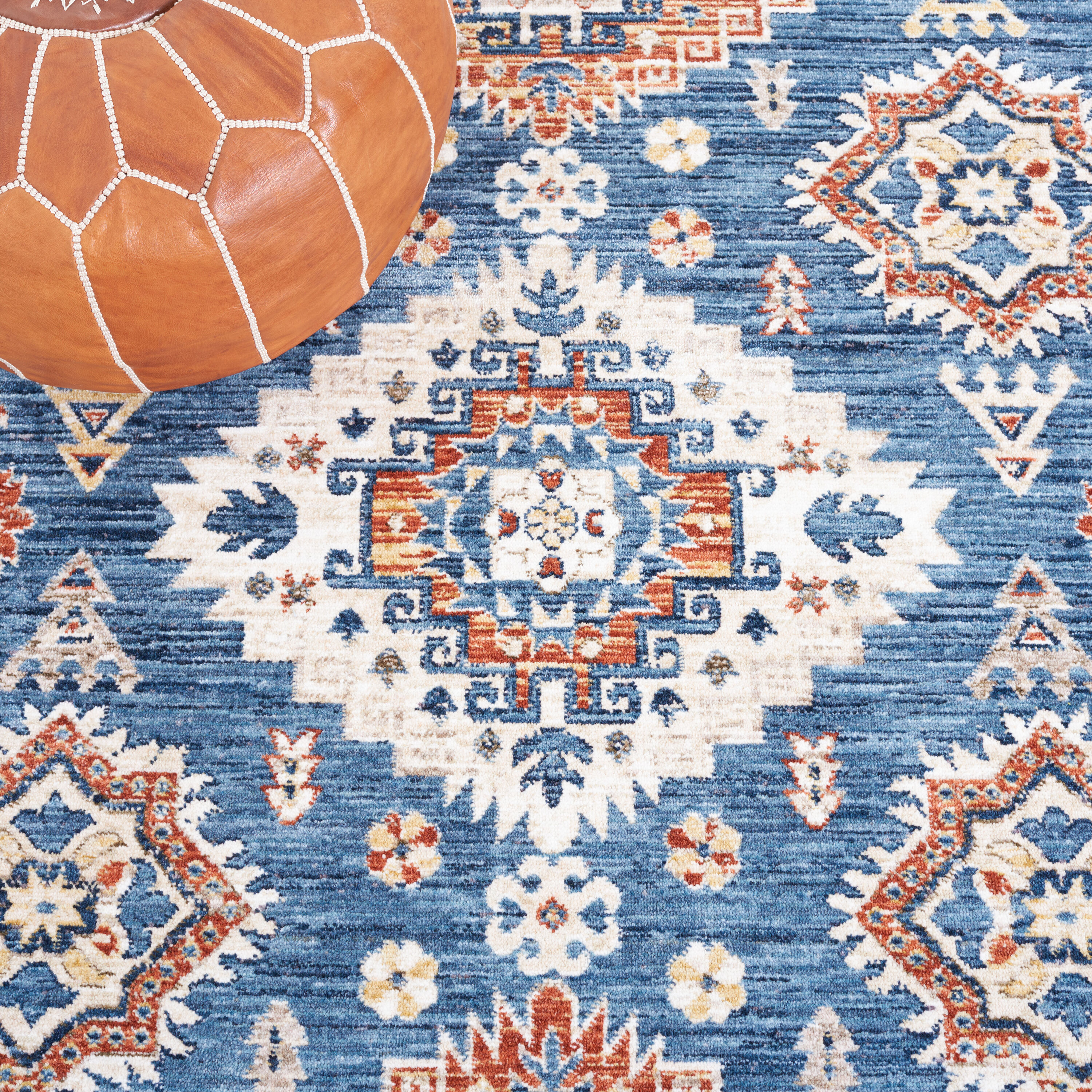 Safavieh OPA204N-29 rugs - View #6