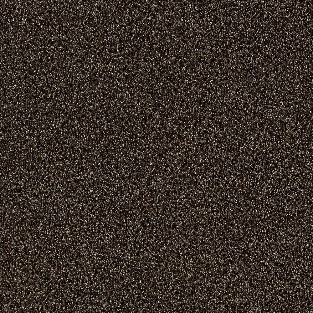 STAINMASTER S840059BUCKEYE-6680 (Sample) LiveWell Robust II Buckeye Textured Carpet