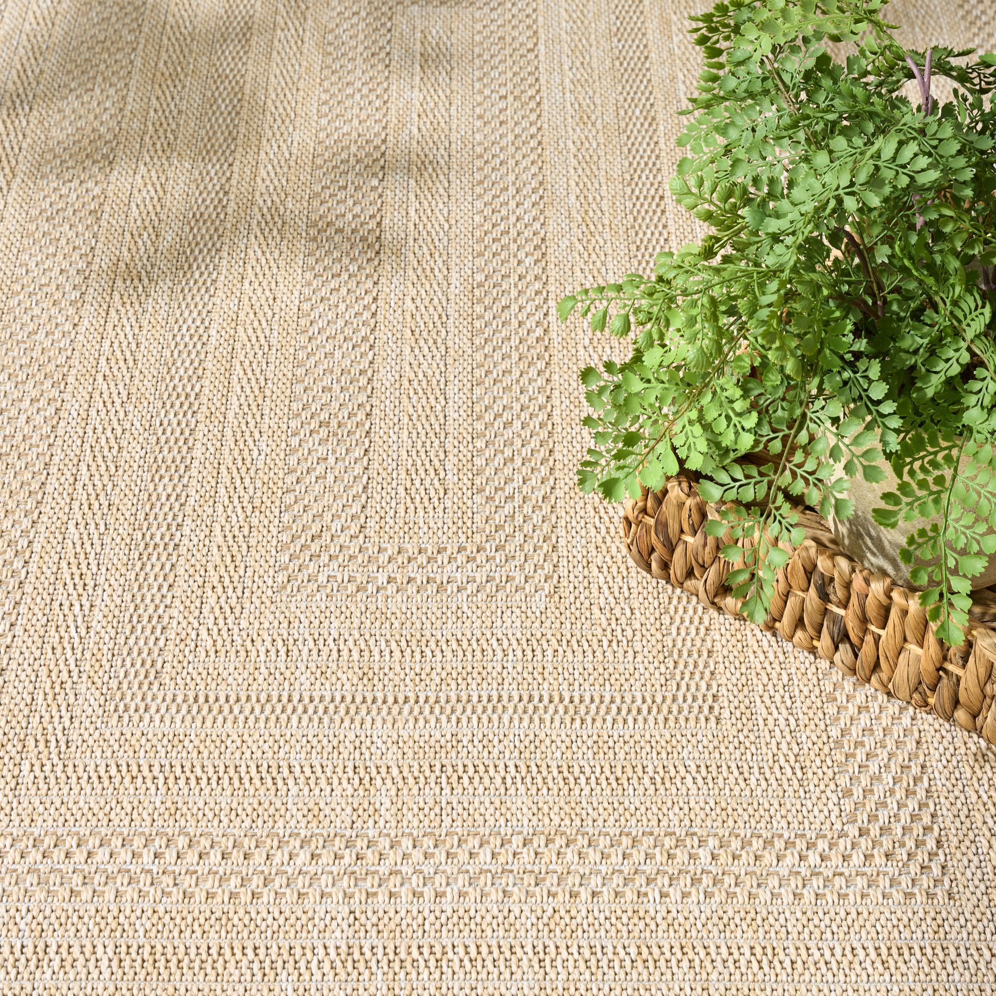 Nourison 841491139486 rugs - View #4