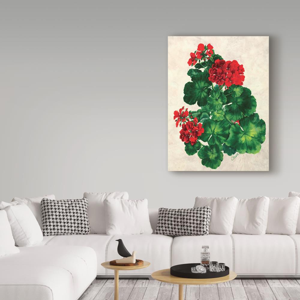 Trademark Fine Art Framed 35-in H x 47-in W Floral Print on Canvas at ...