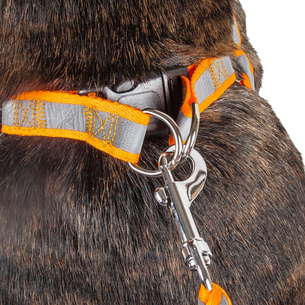 Pet Life LS3ORSM Leashes-Leads - View #4