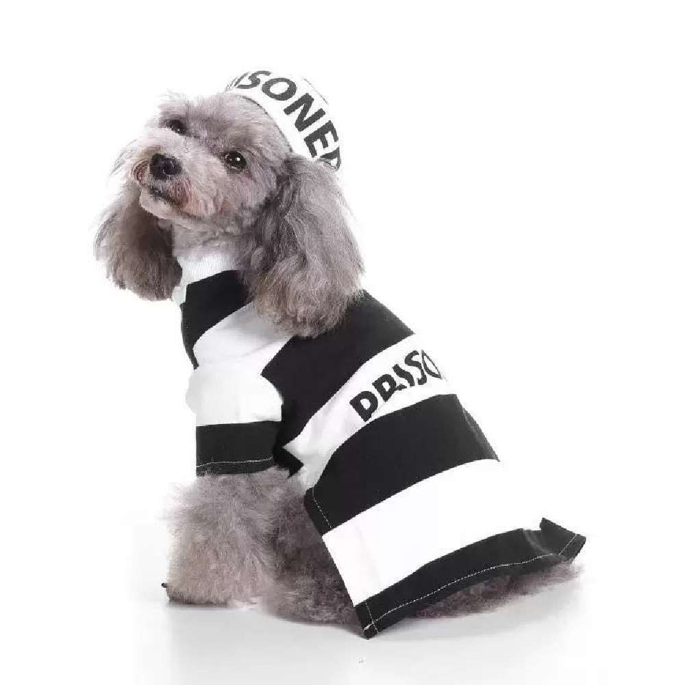 Target, Dog, Black White Xs Pc Rufferee Pet Costume New Referee Halloween  Sports Dogs Cat
