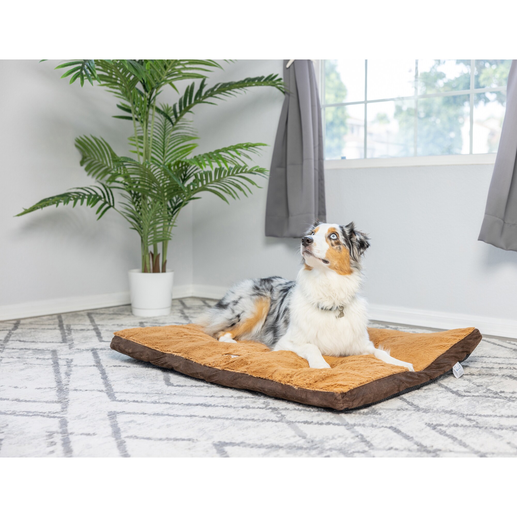 Armarkat M05HKF/ZS-L Pet-Beds - View #8