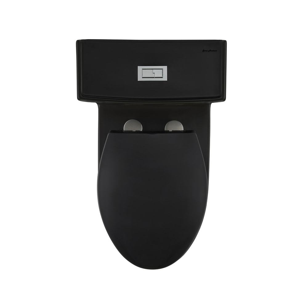 Matte Black High Efficiency One-Piece Elongated Toilet