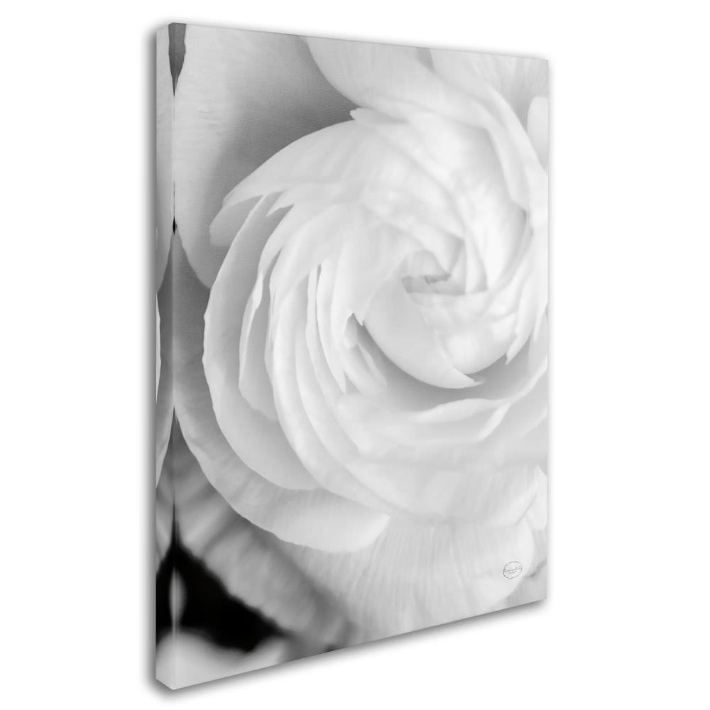 Trademark Fine Art Framed 19-in H x 14-in W Floral Print on Canvas at ...