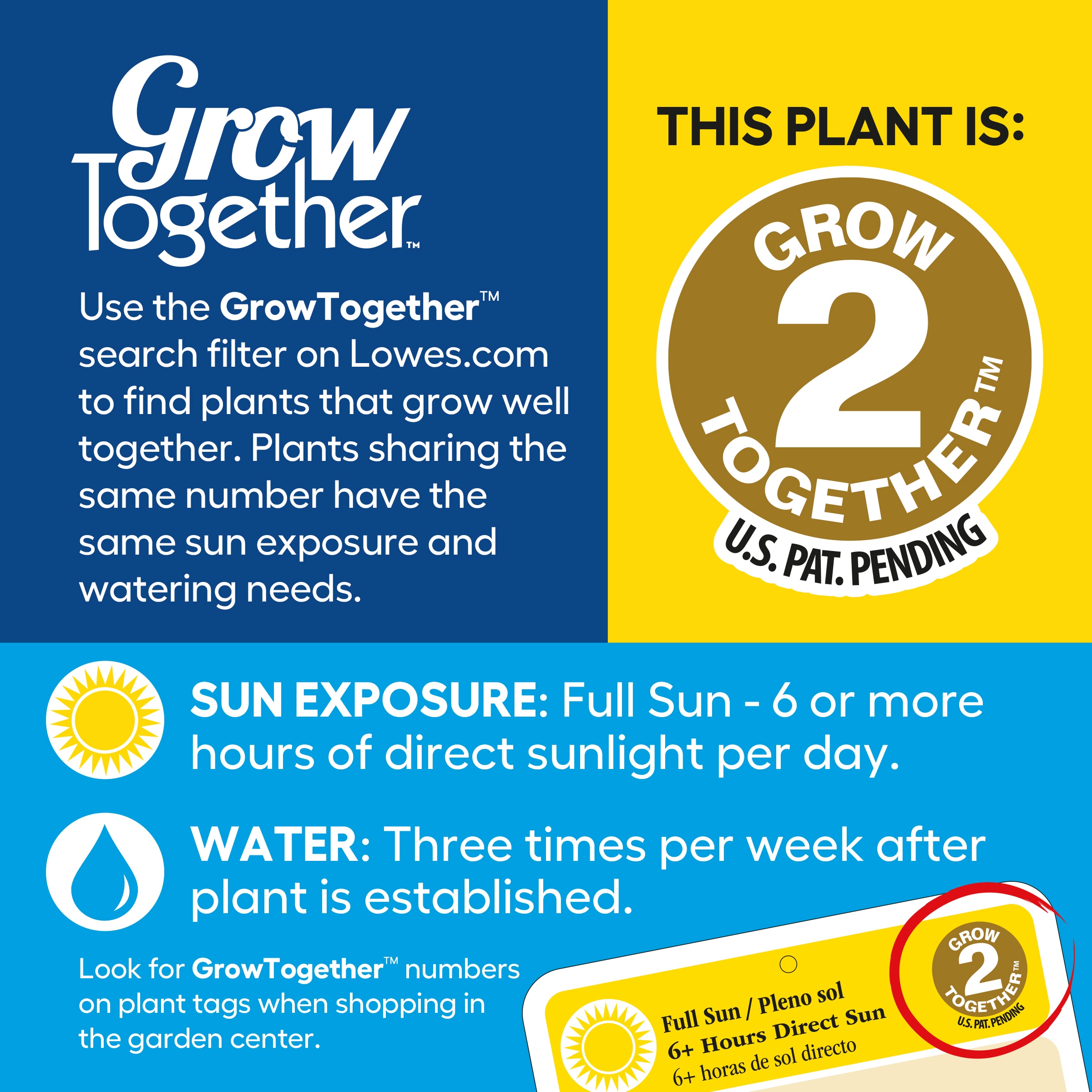 Lowe's 1-3131 annuals - View #5