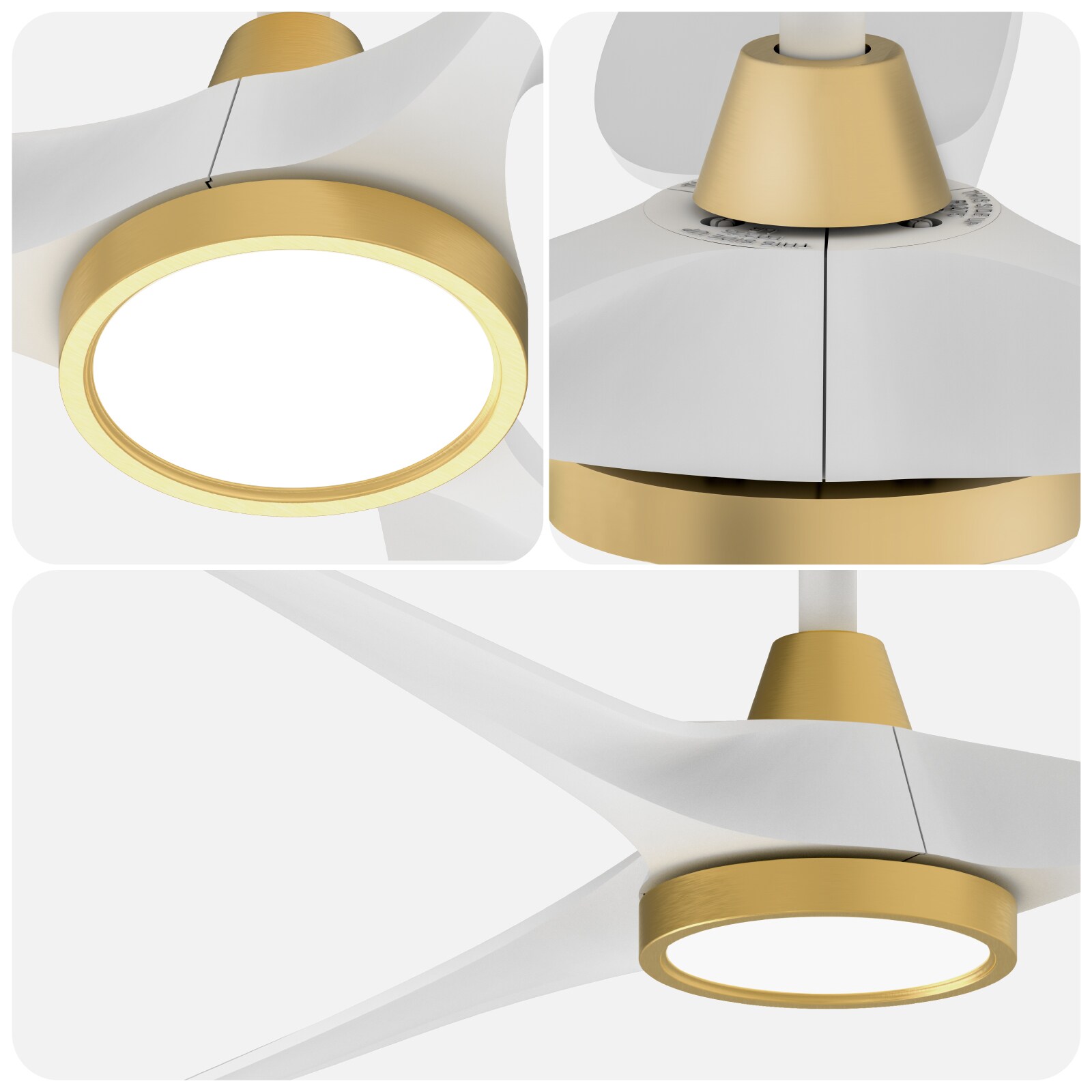 TALOYA TLY-RT-WG-D52 Ceiling-Fans - View #5