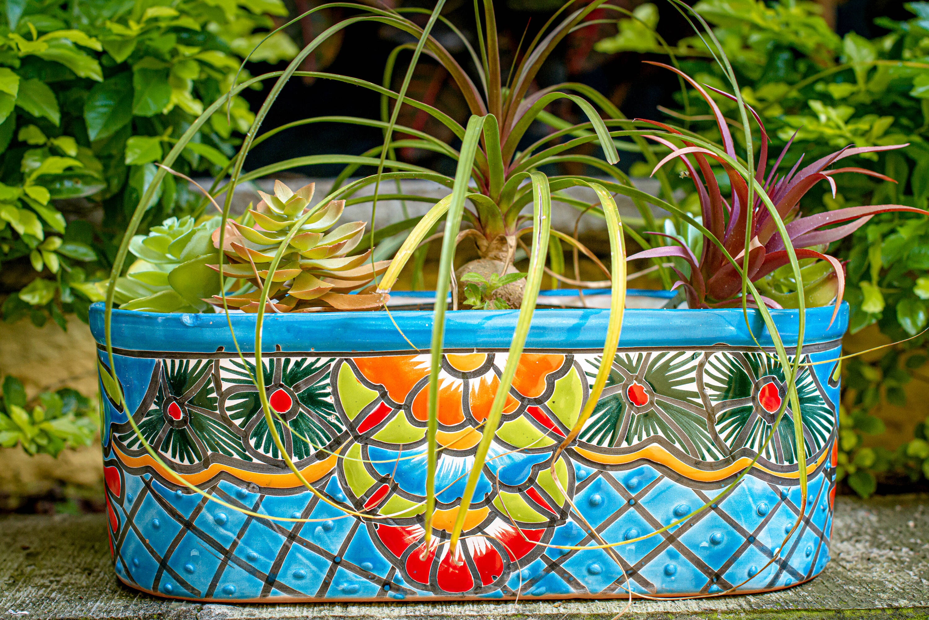 Evergreen 2CG837 Planter-Window-Box - View #2
