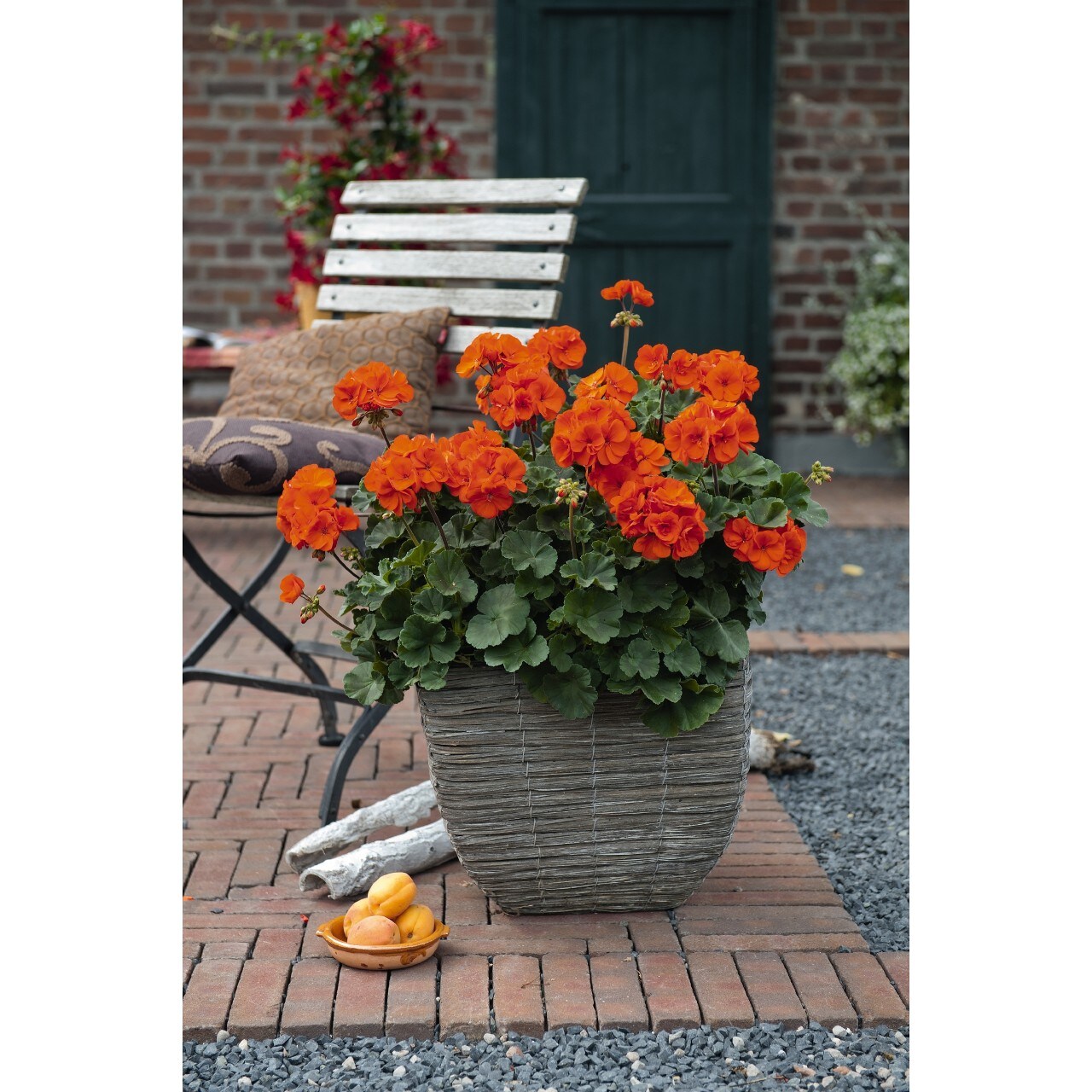  1117 annuals - View #4