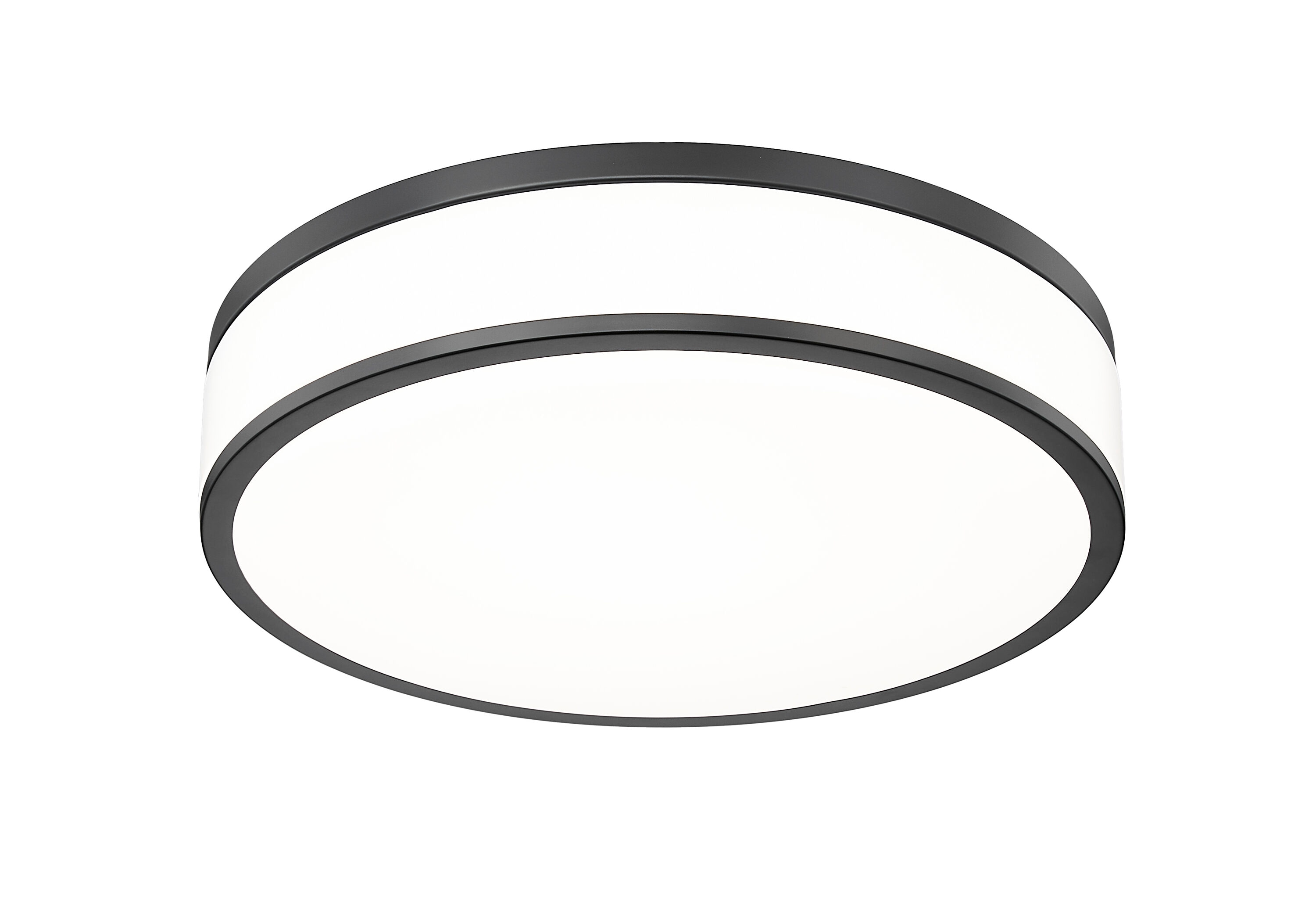 Z-Lite 1012F16-MB-LED flushmounts - View #5