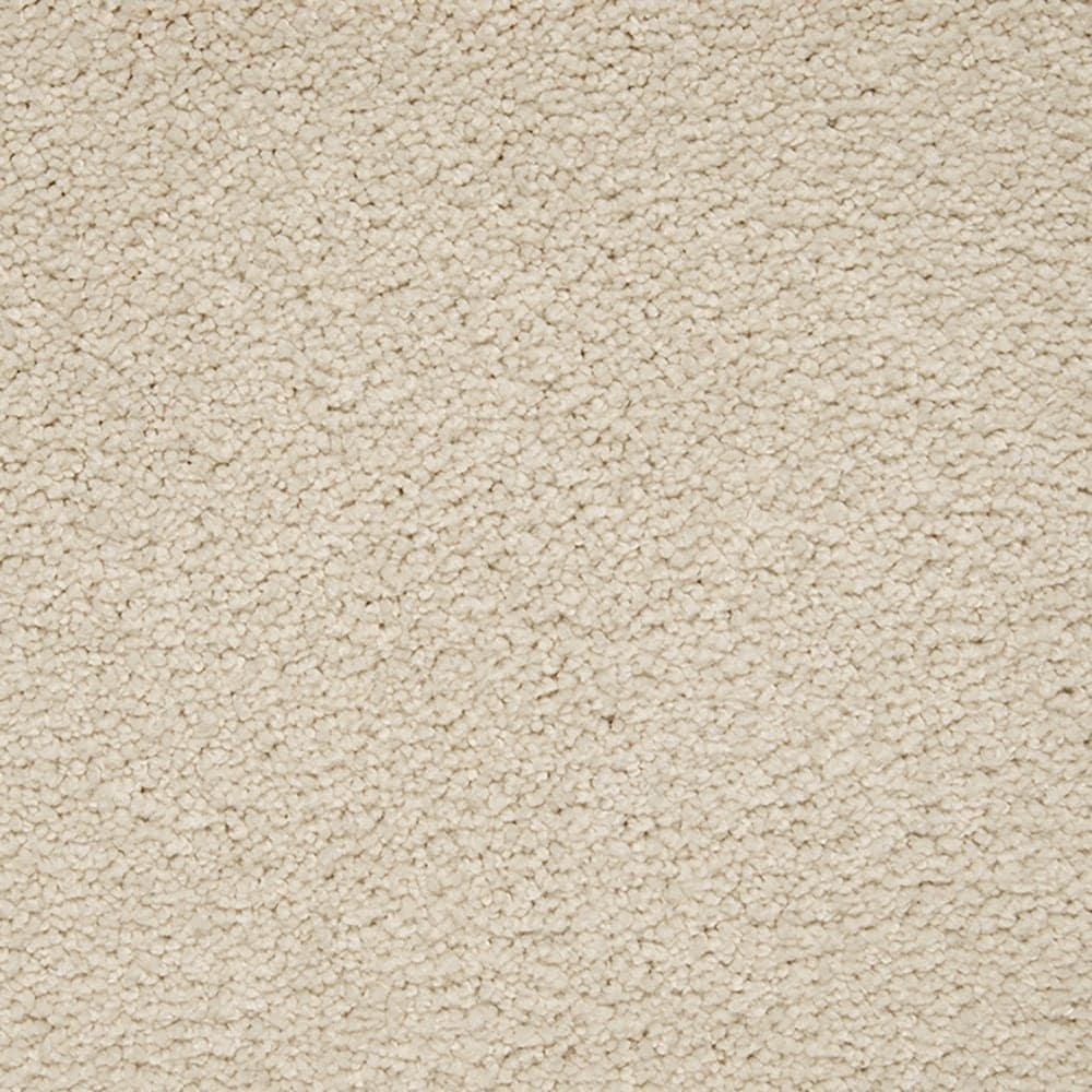 STAINMASTER PetProtect STP56-L005-0808 (Sample) Pawfection Antique Ivory Brown 70-oz sq yard Triexta Textured Indoor Carpet