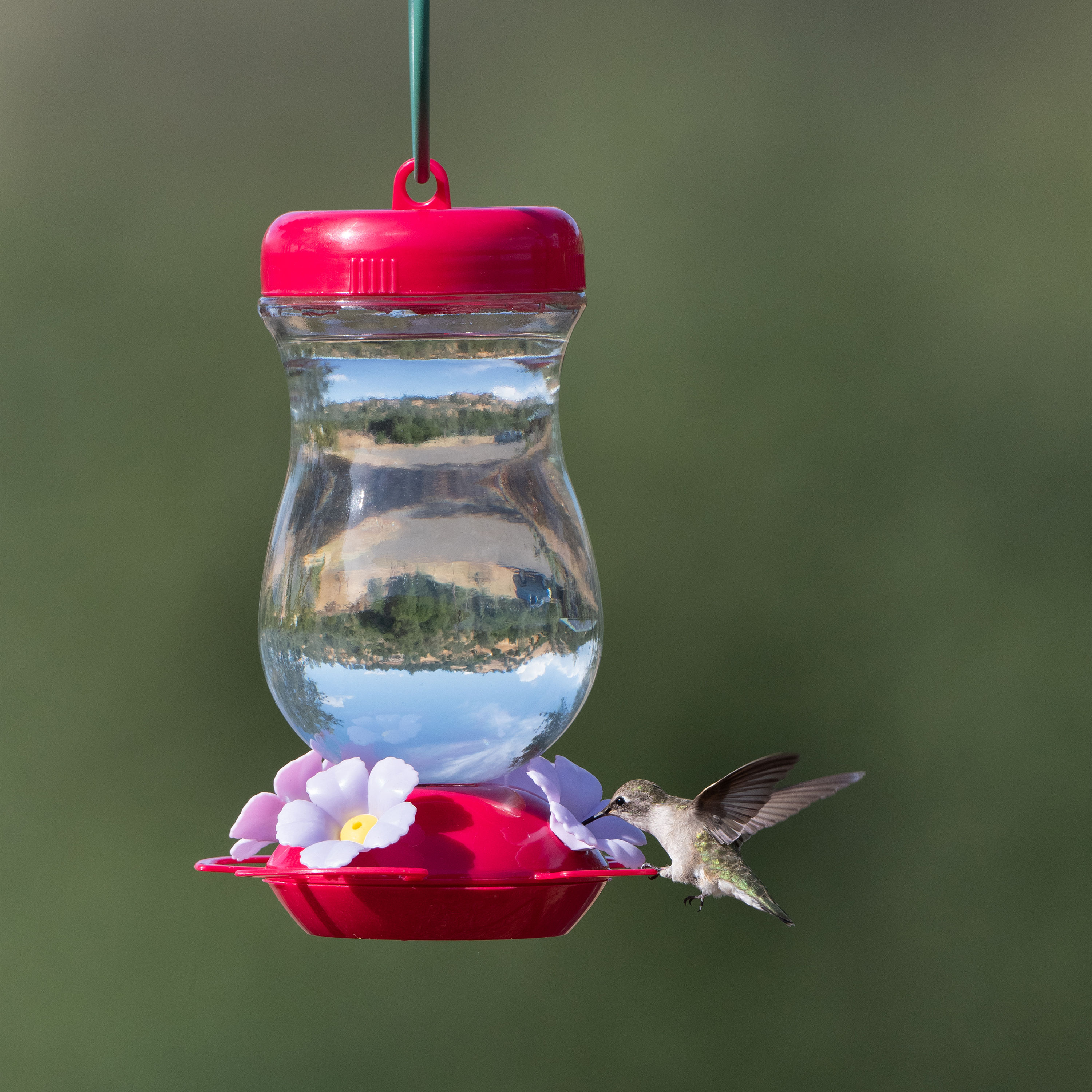 Perky-Pet 132TFP Bird-Feeders - View #12