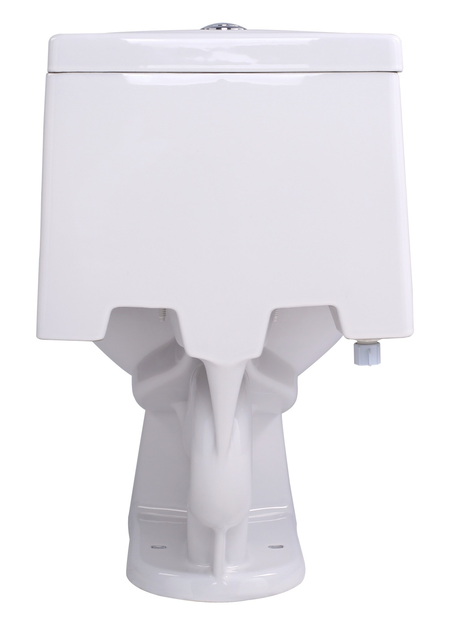 ANZZI T1-AZ056 toilets - View #3
