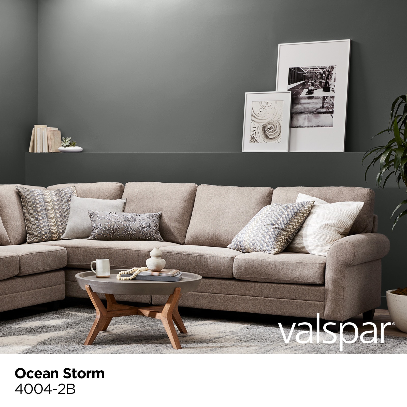 Valspar 4004-2B-2916564 Int-Ext-Paint - View #2