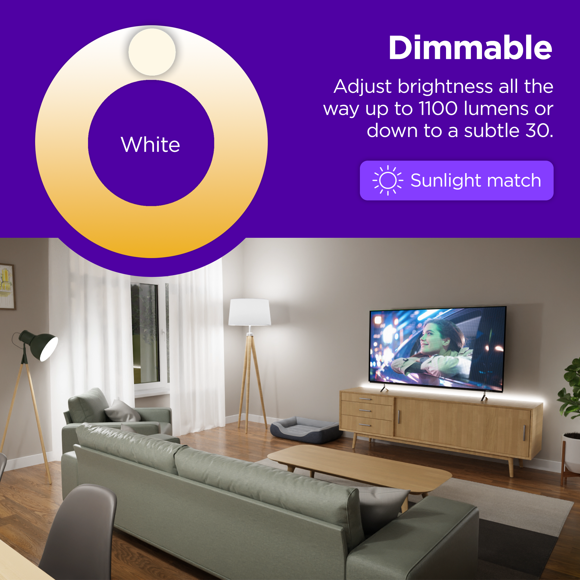 Roku BC1000R Led-Lights - View #3