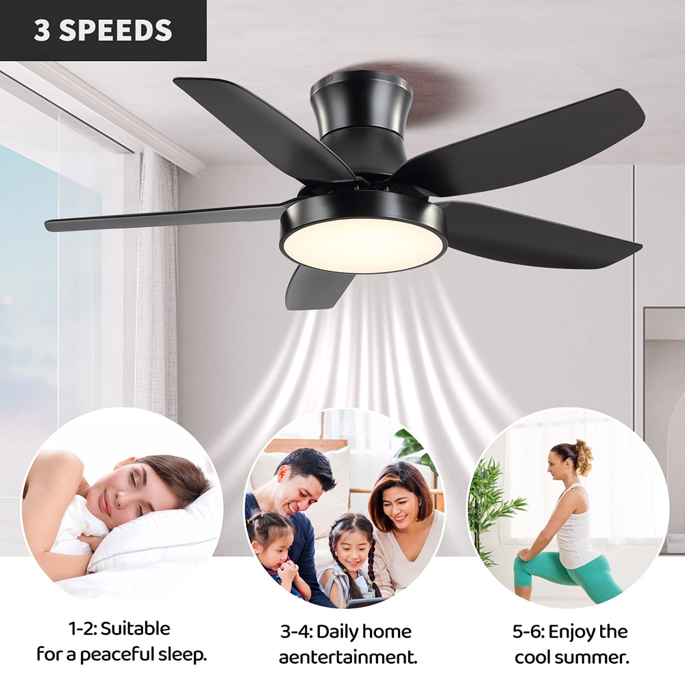 Sunrinx MG40-4-FL Ceiling-Fans - View #8