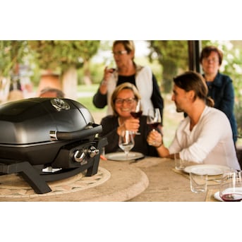 NAPOLEON TravelQ PRO 285-Sq in Black Portable Gas Grill in the Portable Grills department Lowes.com