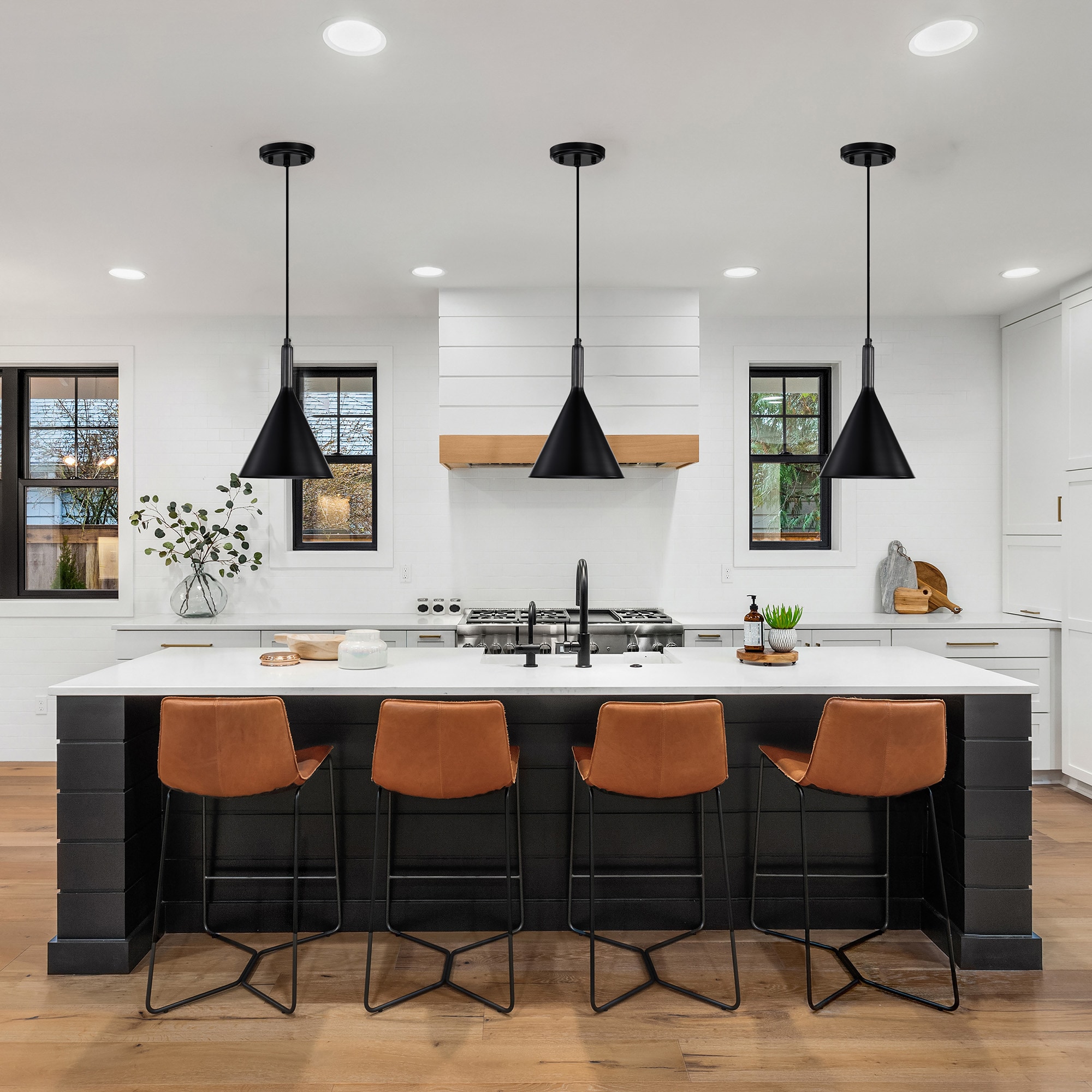 Edvivi EPJ3705BK Pendant-Lights - View #7