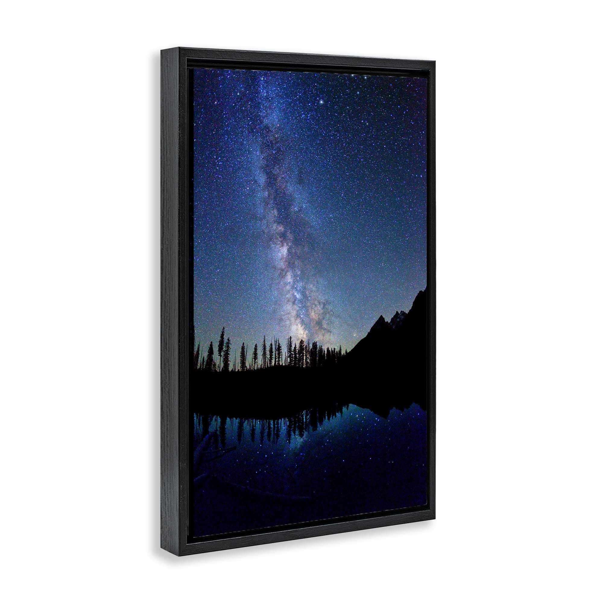 Stupell Industries BT-404-FFB-16X24 Wall-Art - View #2