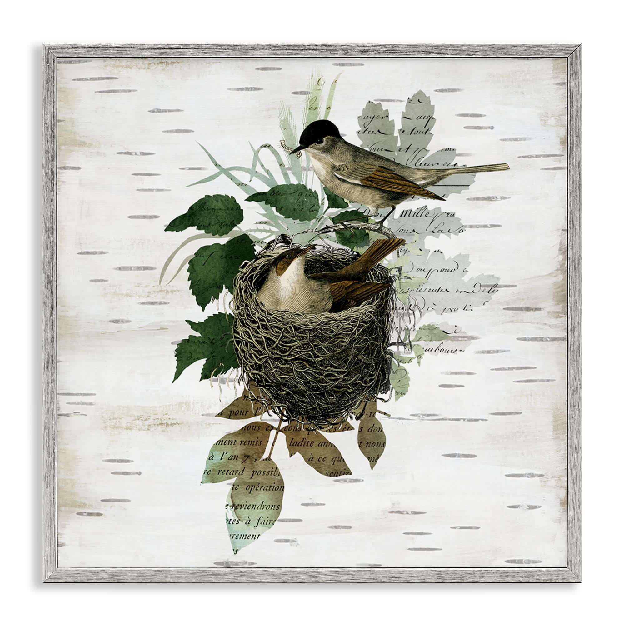 Stupell Industries BS-204-GFF-24X24 Birds in Vintage Nest Gray Framed Giclee Art By Susan Arnot 24 x 24