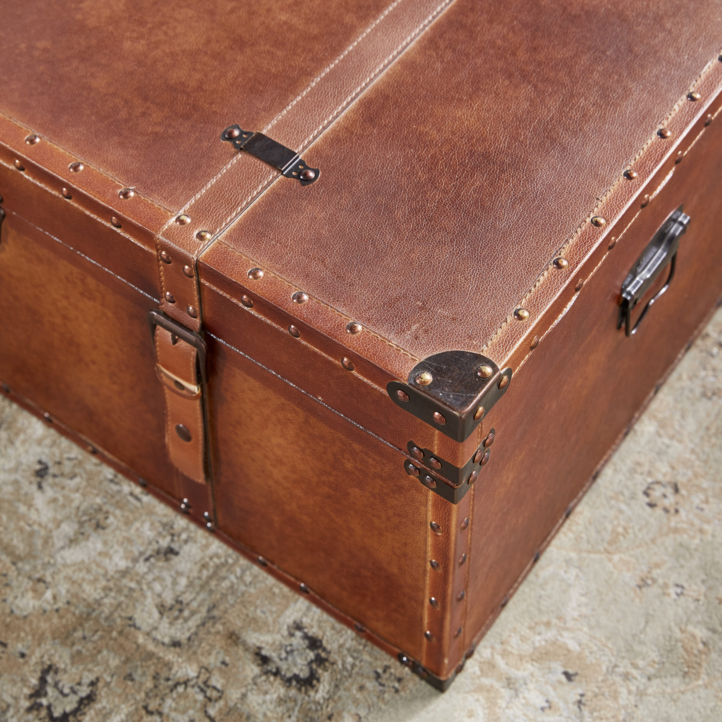 Grayson Lane 56670 Storage-Trunks - View #5