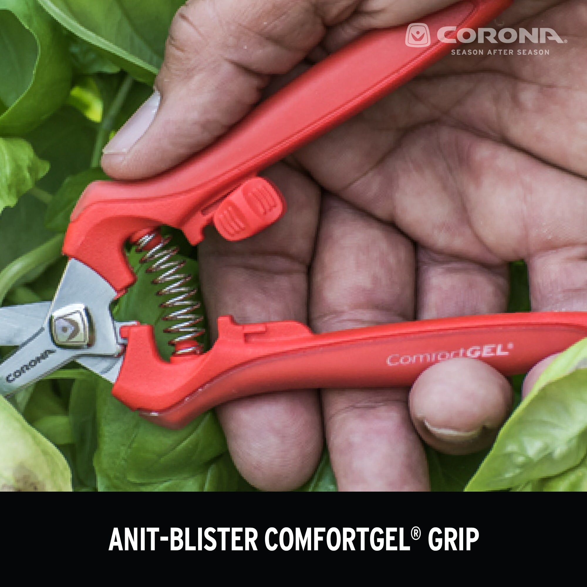 Corona FS 3214D Floral-Scissors-Snips - View #4
