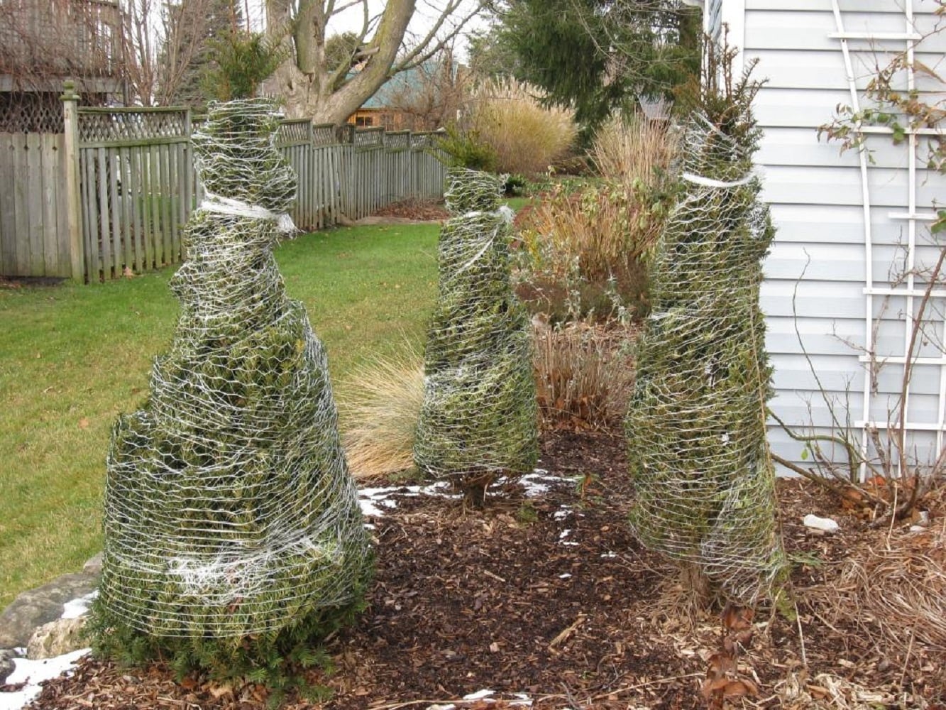 American Nettings & Fabric SWN1 Winter-Plant-Protect - View #3