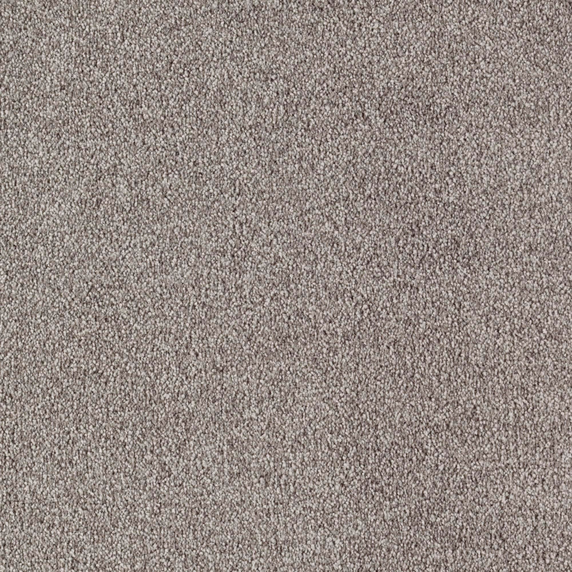 STAINMASTER PetProtect SS021-12-L005 Express Install Splendid Option I Gray Beam Gray 35-oz sq yard Triexta Textured Indoor Carpet