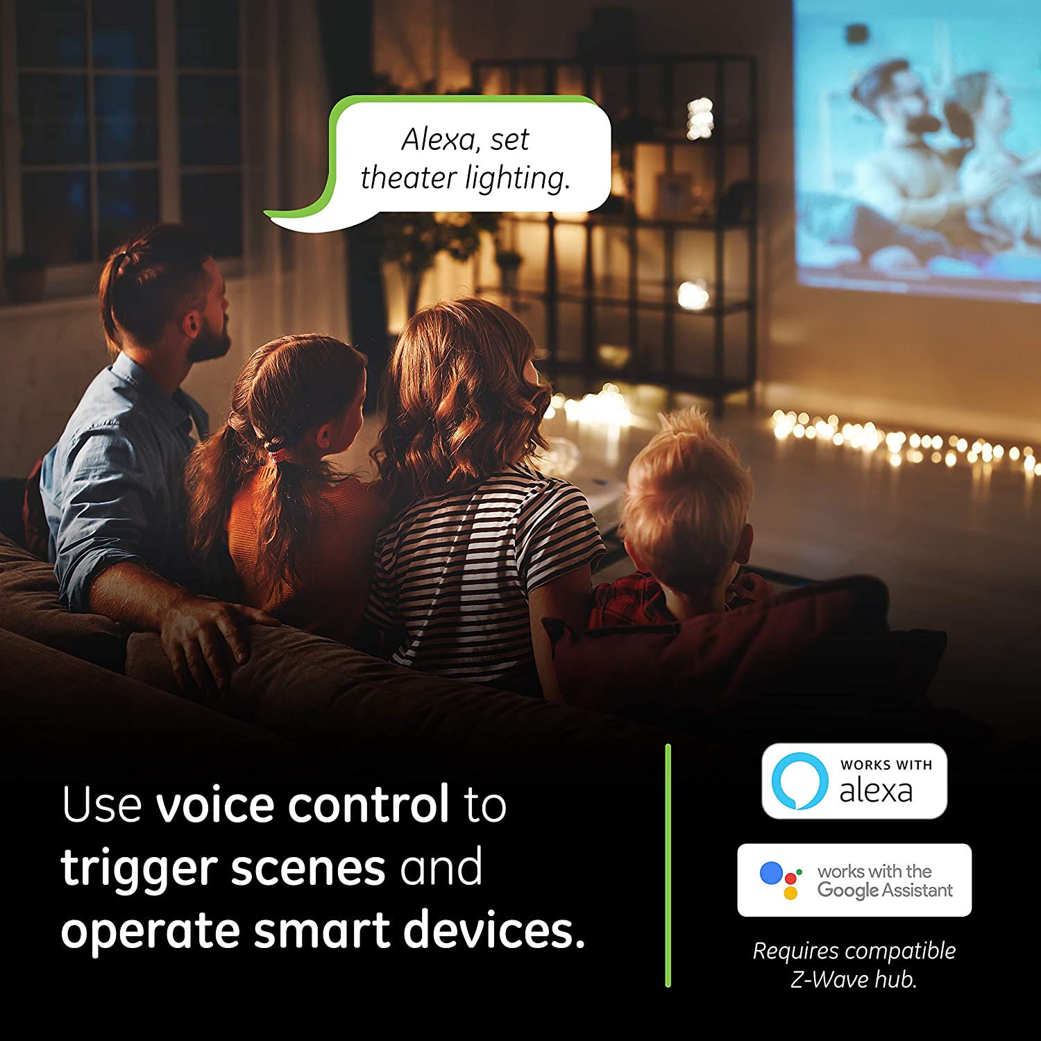Enbrighten 14293 Lighting-Controls - View #2