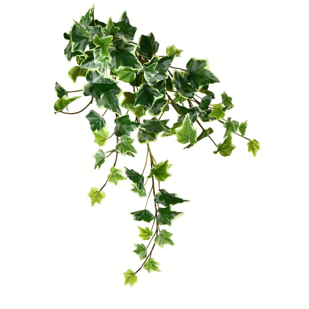 Vickerman FZ190218 18-in Green Indoor Hanging Ivy Artificial Plant