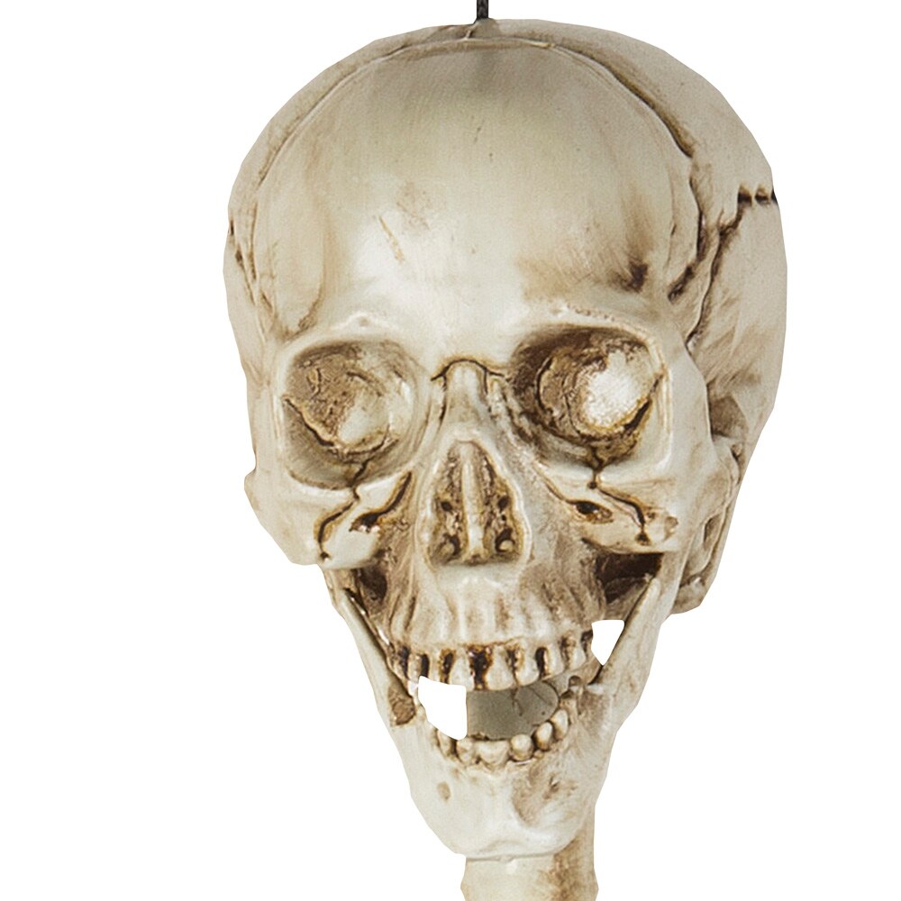 Haunted Living 221784 Table-Halloween-Decor - View #5