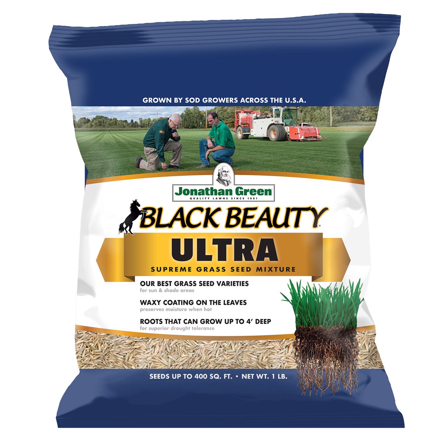Jonathan Green -  Black Beauty Ultra All Grasses Sun or Shade Grass Seed 1 lb
