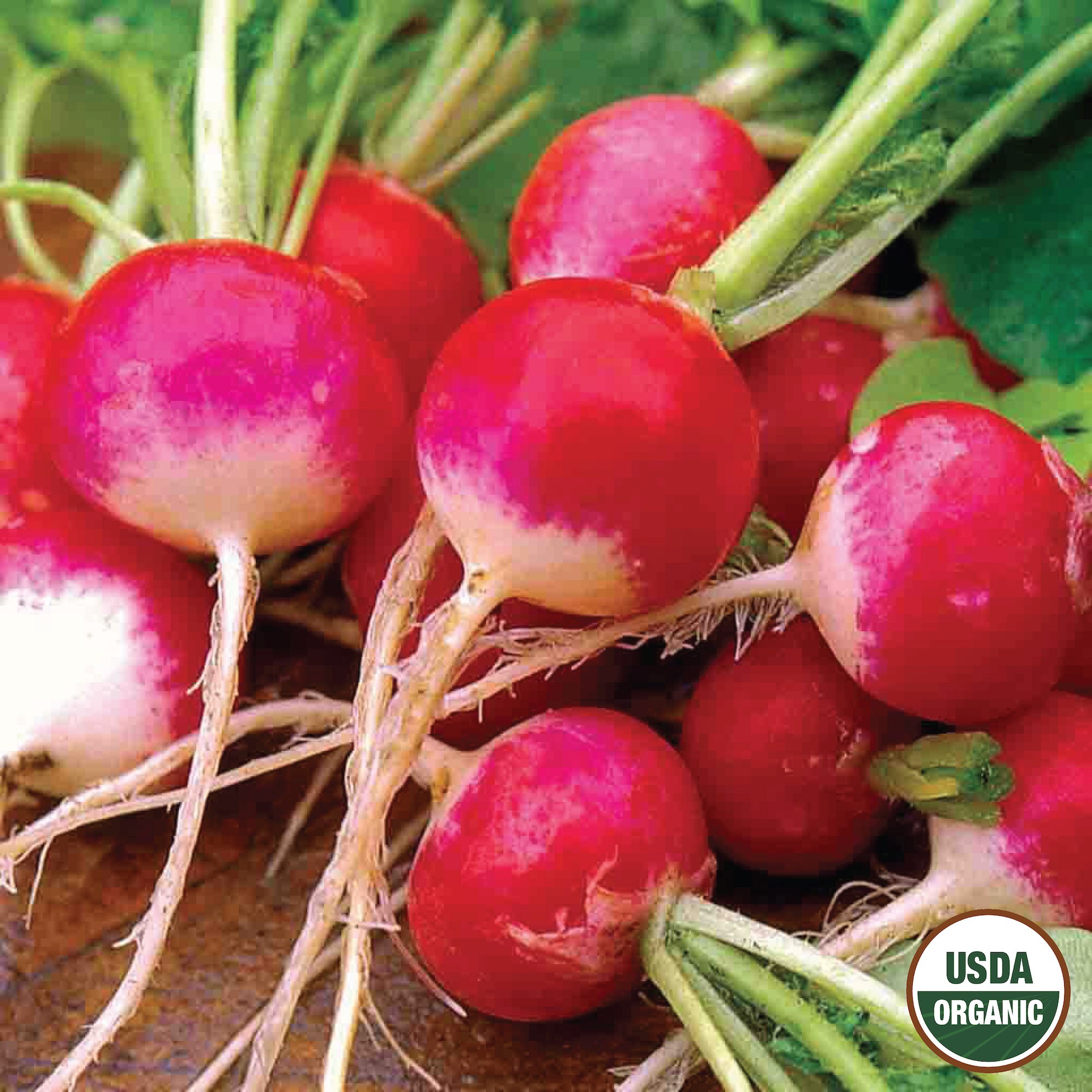 Ferry-Morse LC25.0796 Vegetable-Herb-Seeds - View #3