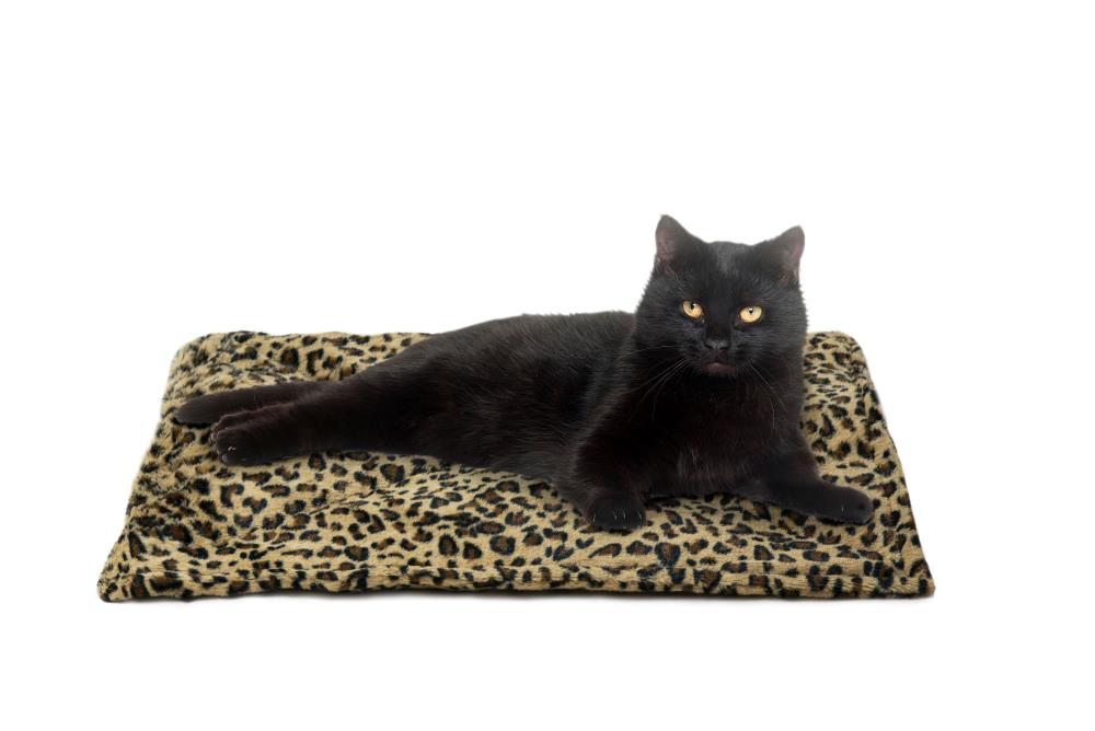 FurHaven 57234071 Rectangular Leopard Polyester Pillow Dog Bed ( Small )