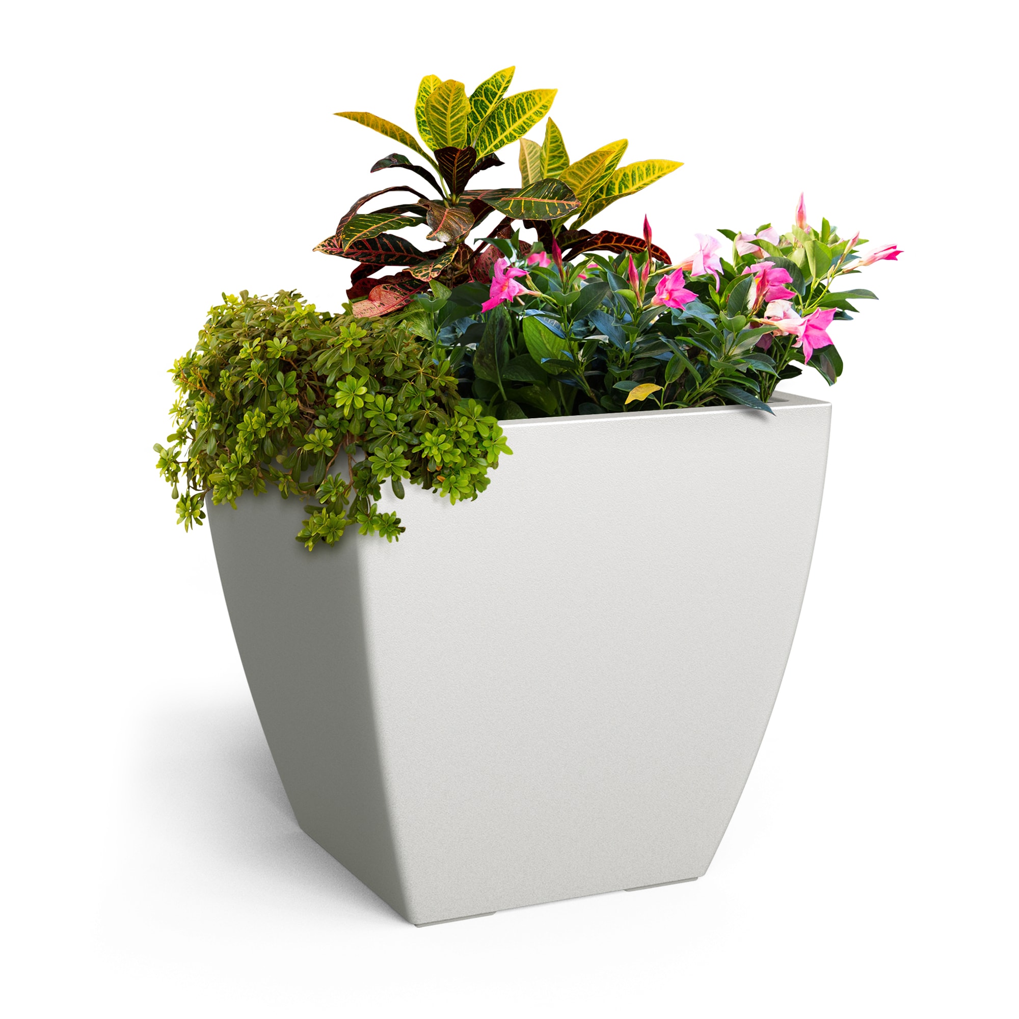 Mayne Square 24 In W X 24 In H White Resin Outdoor Planter In The Pots   66107426 