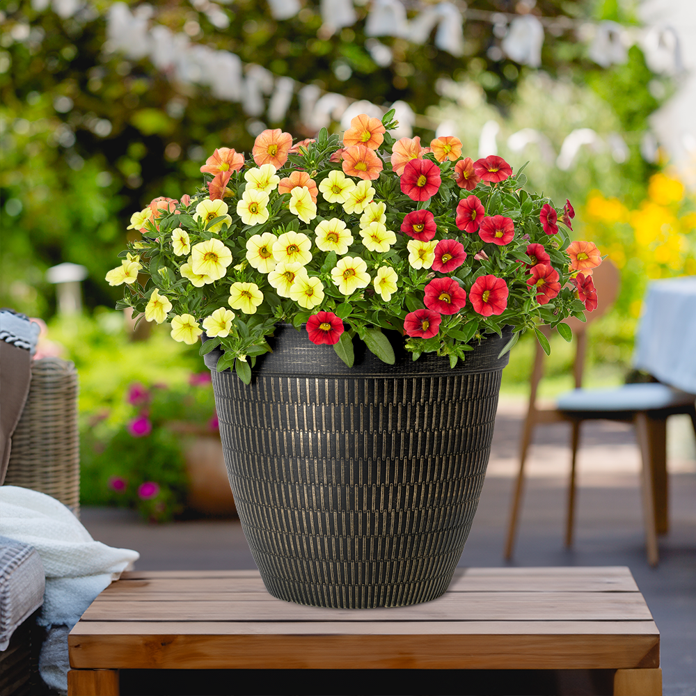 Style Selections DP2138F Planter-Window-Box - View #2