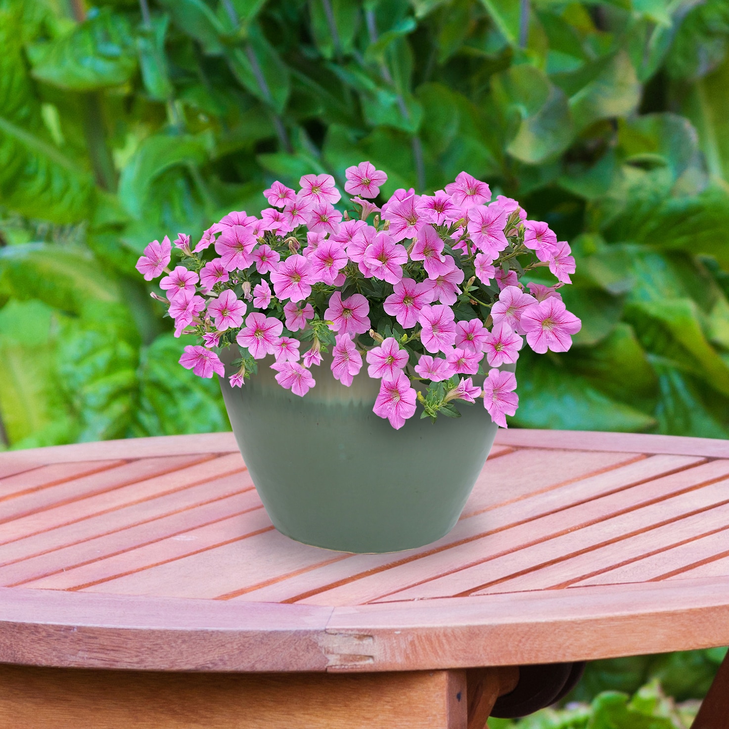 Sunnydaze Decor AP-834 Planter-Window-Box - View #6