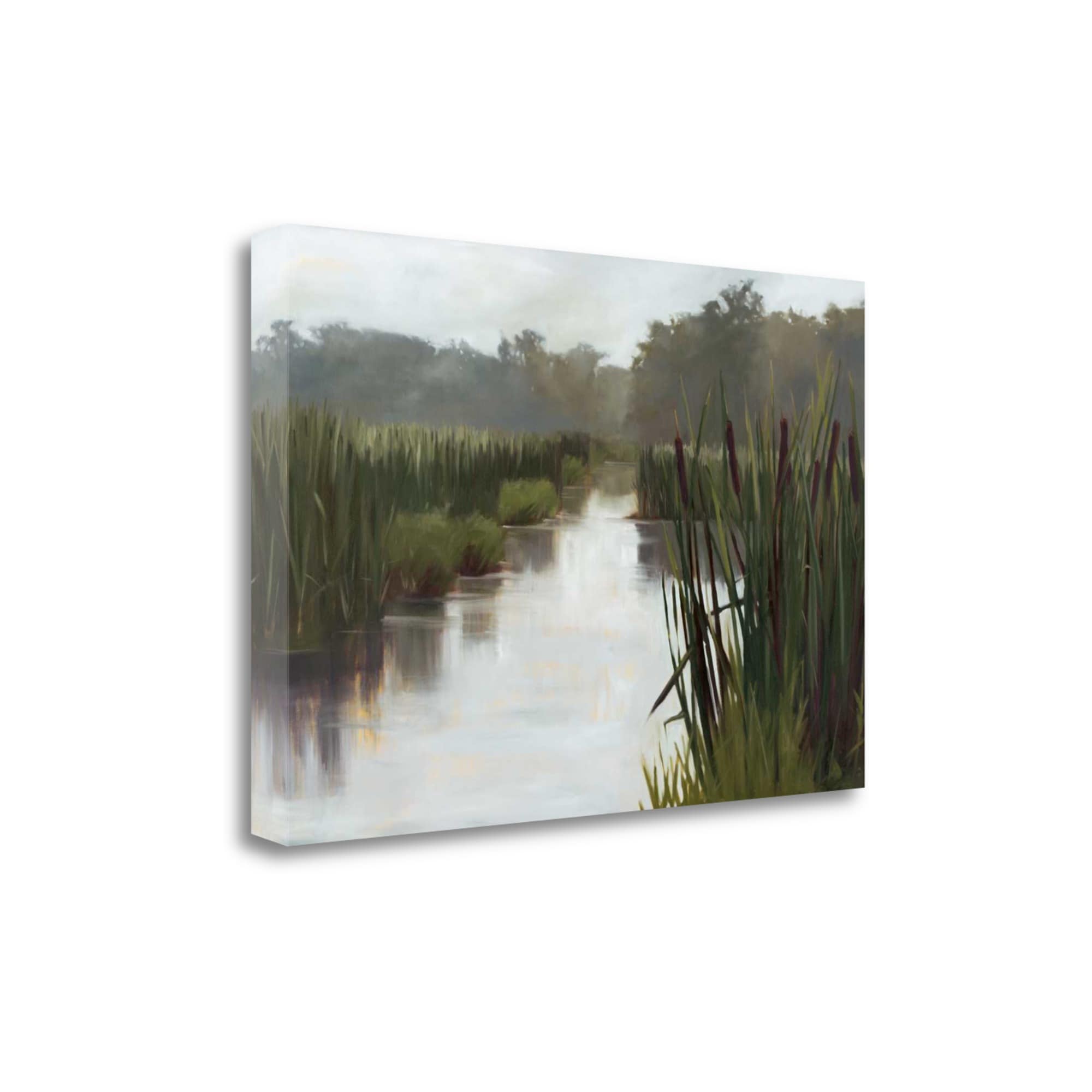 Tangletown Fine Art CA312651-2416C Passage Megan Lightell 16-in H x 24-in W Landscape Print on Canvas