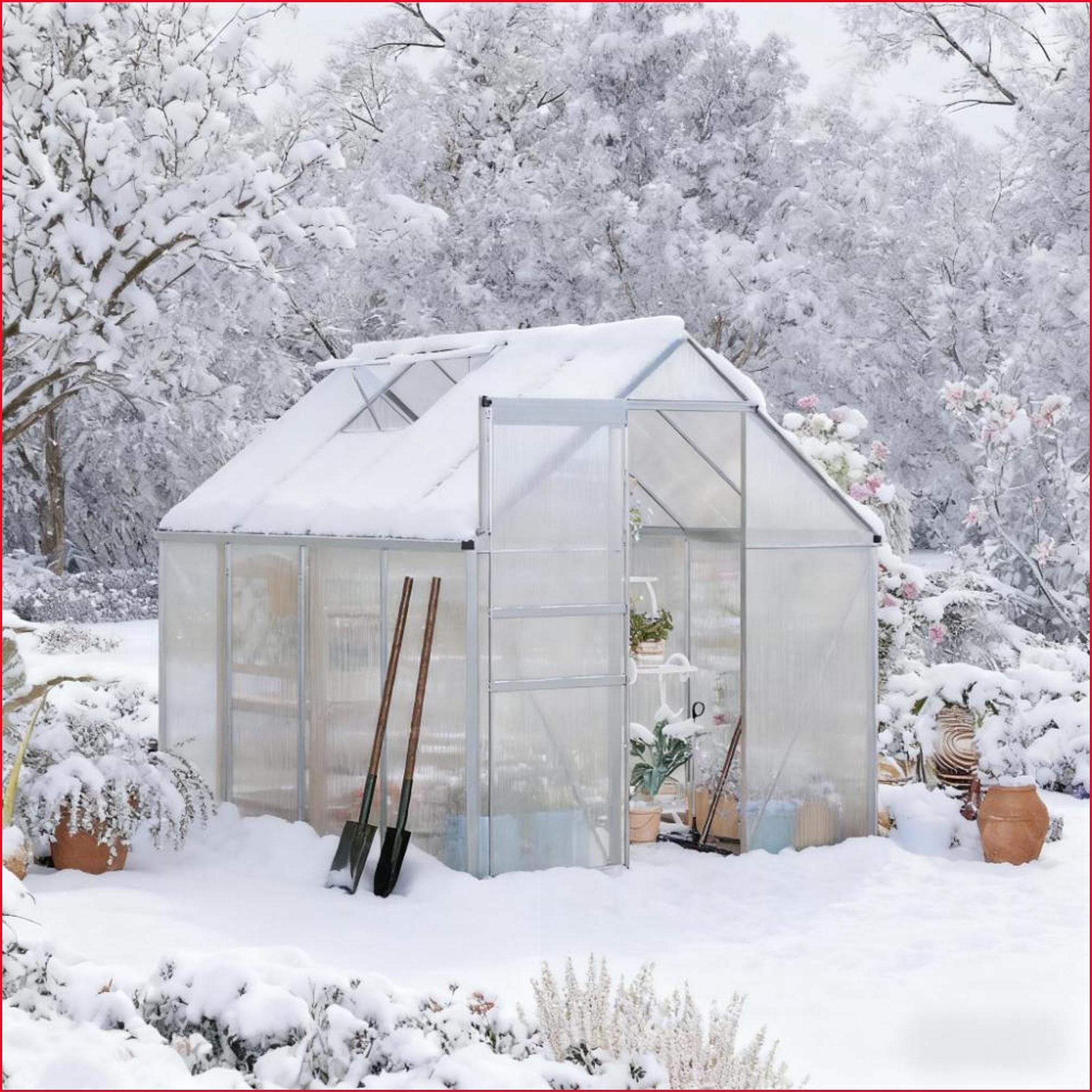 Watnature Greenhouses  invernadero 8timess6 Walkin Outdoor Winter Gardening Brushed Silver  WalkIn  Aluminum  Galvanized Steel Frame