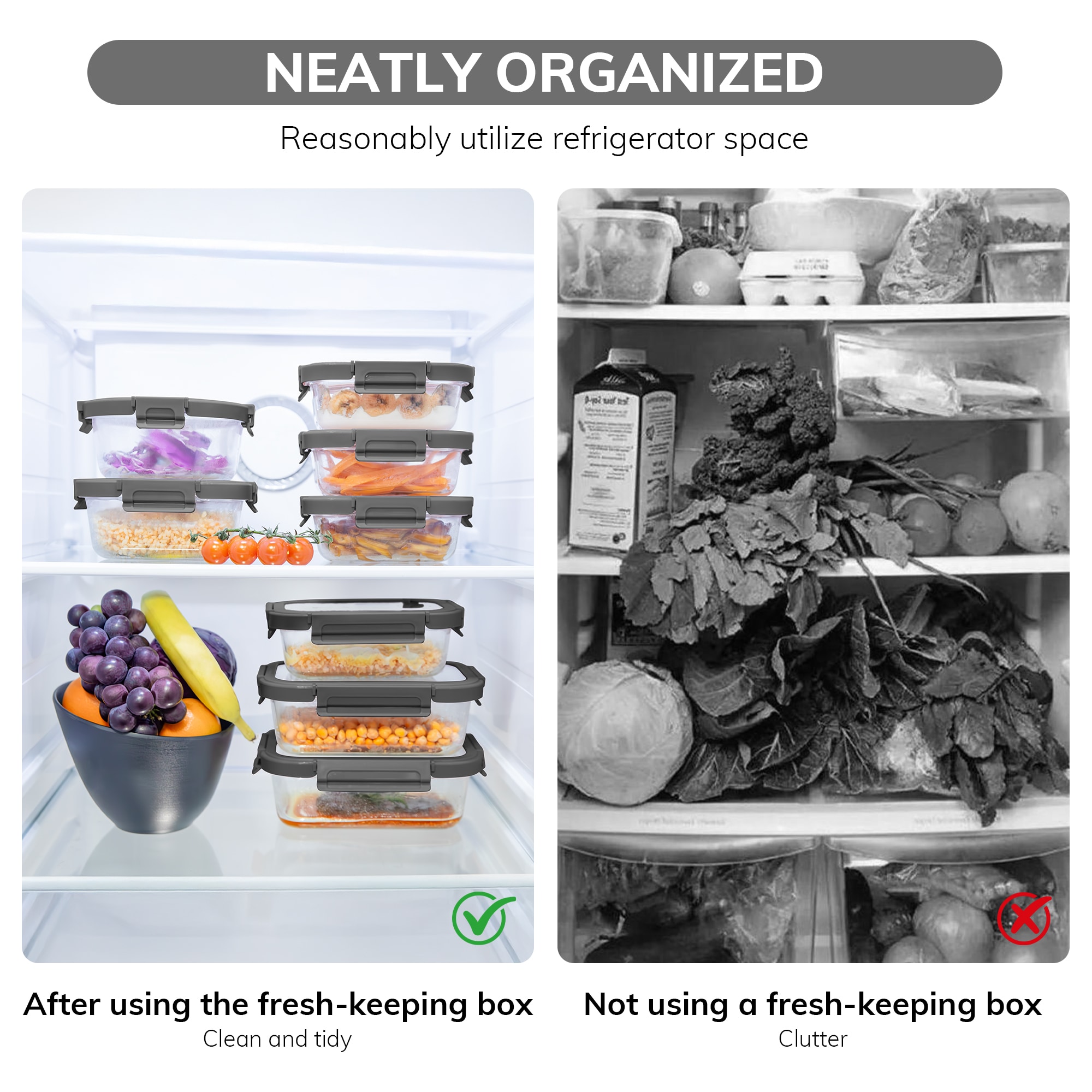 Dovelina LS0103-60312001 Food-Storage-Containers - View #7