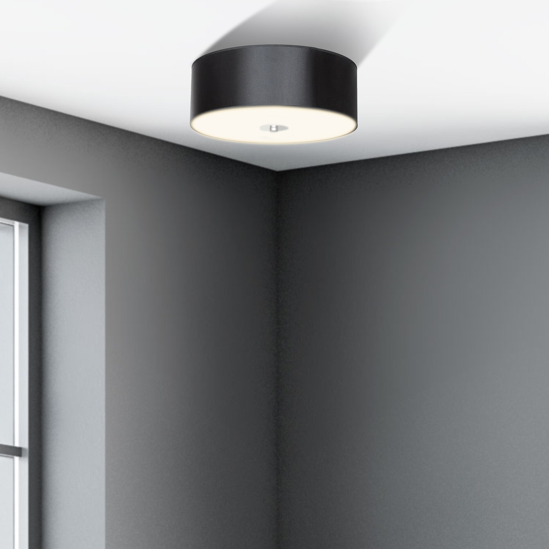Whitfield Lighting FM1405-BSSS flushmounts - View #4